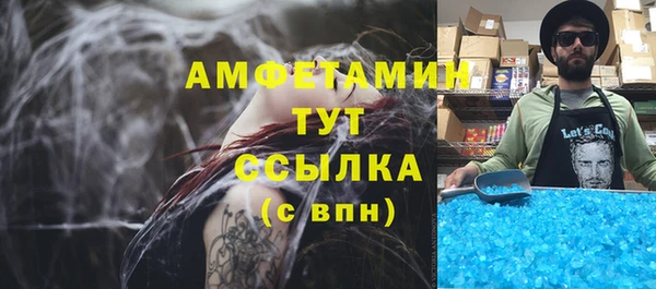 спиды Богданович