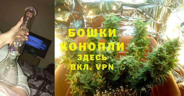 спиды Богданович