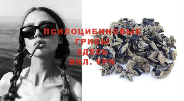 спиды Богданович